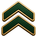 Level